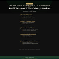 Certified Public Accountants & Tax Professionals — Small Business CFO Advisory Services - Image 3