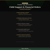 Family Law Attorneys — Child Support & Financial Orders - Image 3